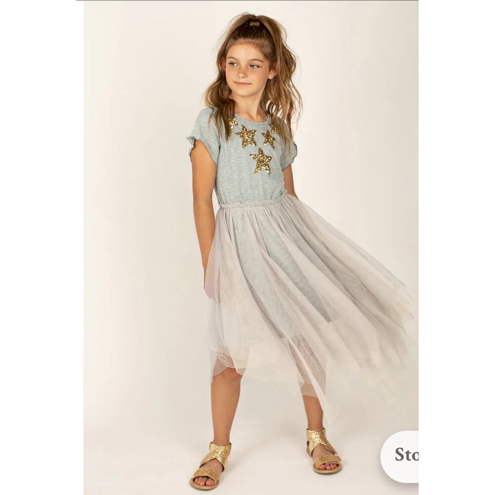 Joyfolie Mia Joy FEYA DRESS IN HEATHER GRAY size 12